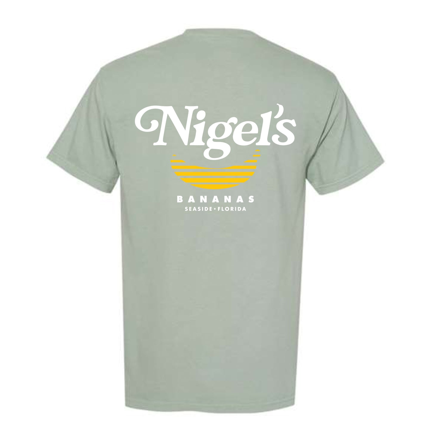 Comfort Colors Pocket Tee in Bay
